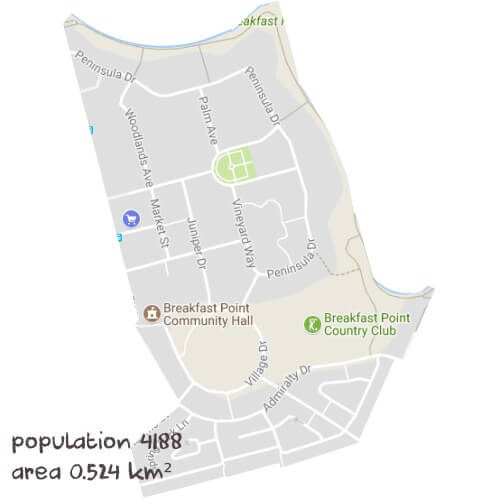 Info Processing Tutoring Near Me